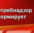 Усть-Кутские предприниматели могут в дистанционном формате посетить «День открытых дверей» Управления Роспотребнадзора по Иркутской области - Ust-Kut24.Ru