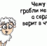 Выборы мэра Усть-Кутского района начинаются со старых граблей - Ust-Kut24.Ru