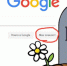 Google Chrome перестанет работать на старых ПК - Ust-Kut24.Ru