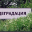 Деградация Усть-Кутского ГОРОНО началась. Россельхознадзор нашёл нарушения хранения продуктов в двух школах Усть-Кута - Ust-Kut24.Ru