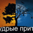 Мудрые притчи на день - Ust-Kut24.Ru