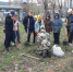 В Усть-Куте состоялась акция «Посади дерево — подари планете жизнь» - Ust-Kut24.Ru