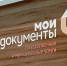 Заявление на выдачу древесины для собственных нужд теперь можно подать в МФЦ - UstKut.Irk.Today