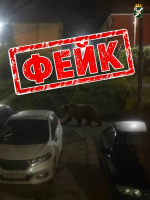 ВАЖНО! В городе распространяют фейковые фото с медведями
